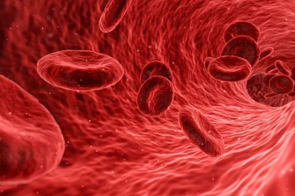 Aplastic Anemia Crisis: 8 Crucial Facts to Know