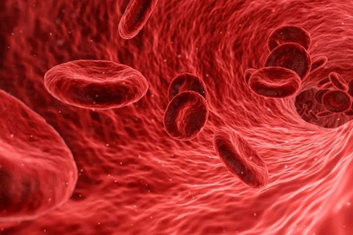 Aplastic Anemia Crisis: 8 Crucial Facts to Know